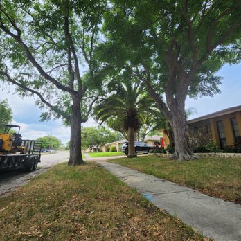Stumpy's Tree & Outdoors - Tree Services Near Me - Lebanon, Illinois Stumpy's Tree & Outdoors - Tree Services Near Me - Lebanon, Illinois