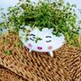 Potted Art