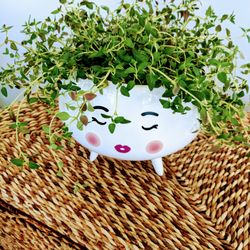 Potted Art