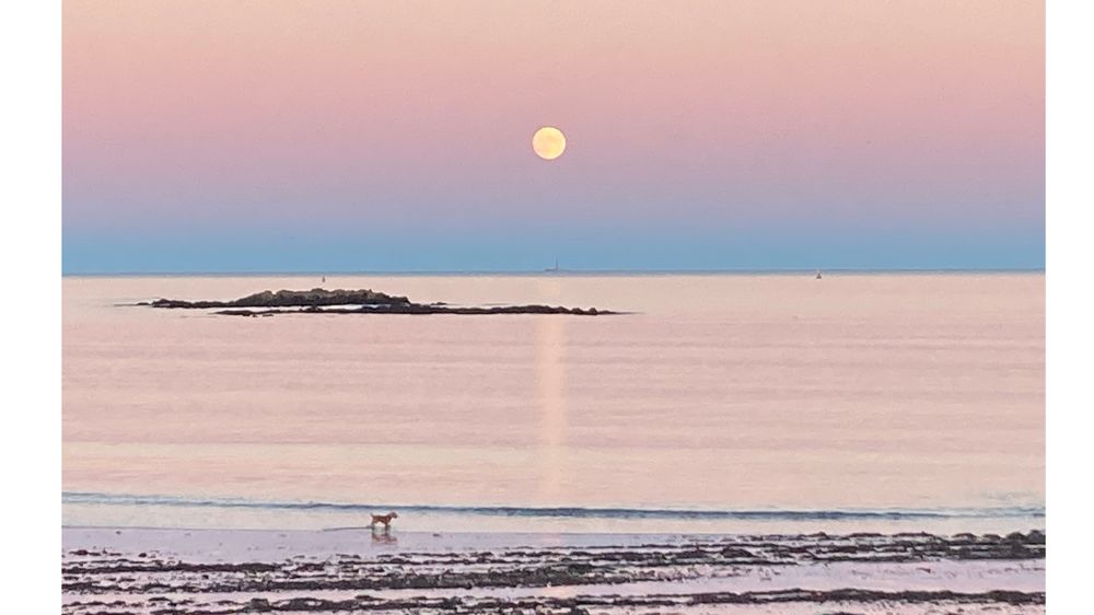 Helping Hands Integrative Massage - grief counselor in Portsmouth, NH