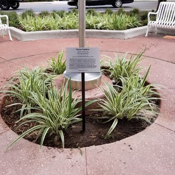 Sign Art Group - etched stainless - Signmaking Near Me - Tampa, Florida Sign Art Group - etched stainless - Signmaking Near Me - Tampa, Florida