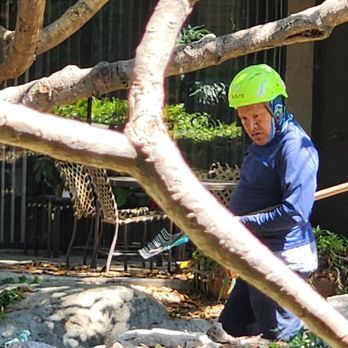 Andre Landscape Service - This is the rude destructive worker - Landscaping Near Me - San Marcos, California