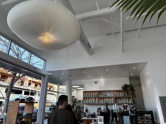 The Little Marionette by null