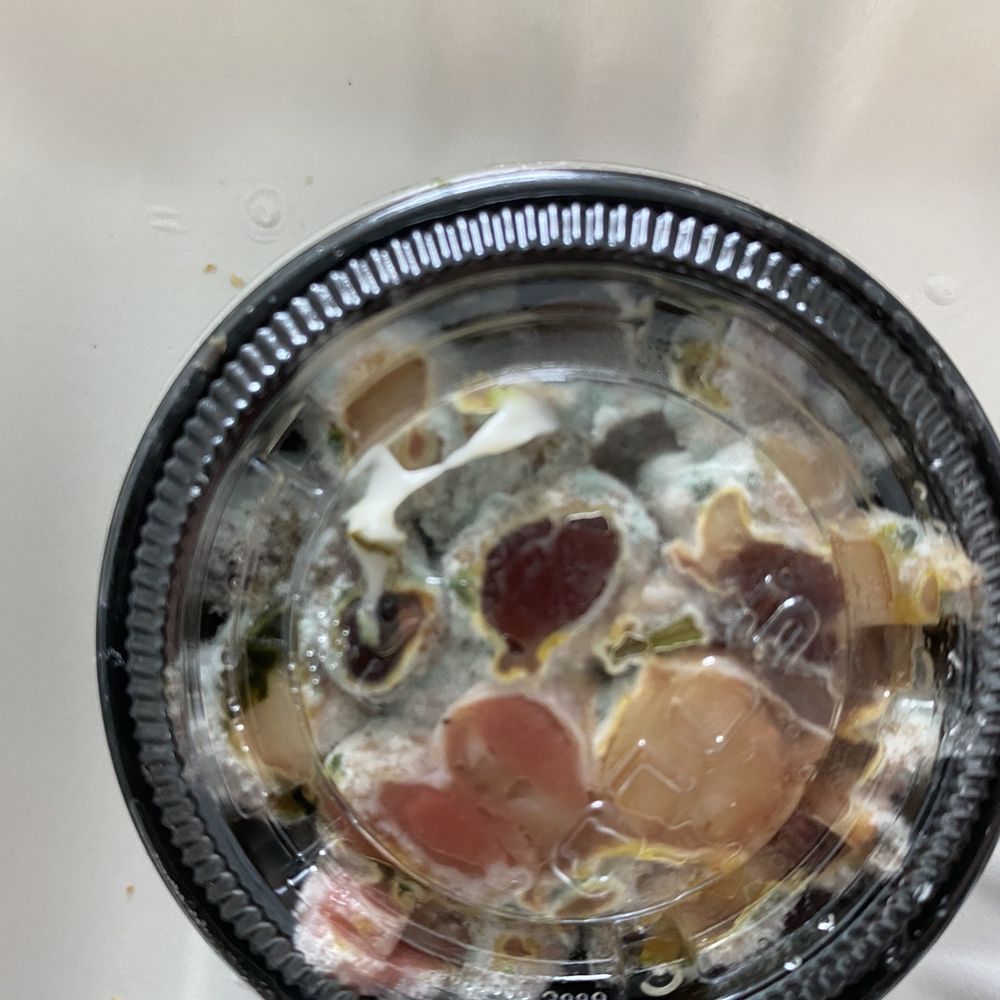 Lemoni Cafe - Bean salad with green fuzzy mold and white fuzzy mold - Breakfast & Brunch Near Me - Miami, Florida