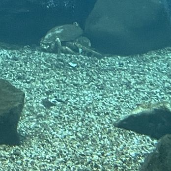 Ocean World - Aquariums Near Me - Crescent City, California