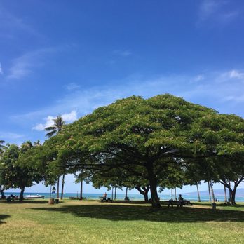 Photo of Barefoot Beach Cafe - Honolulu, HI, United States. Scene of the park and ocean.