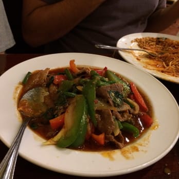 Thai Sweet Basil - Thai sweet basil beef - Thai Near Me - Tampa, Florida Thai Sweet Basil - Thai sweet basil beef - Thai Near Me - Tampa, Florida