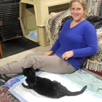 Always Helpful Veterinary Services - Dr. Sarah Urban performing acupuncture. - Holistic Animal Care Near Me - Nottingham, Pennsylvania