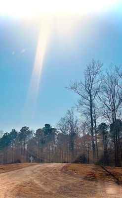 Saudé Creek Vineyards by null