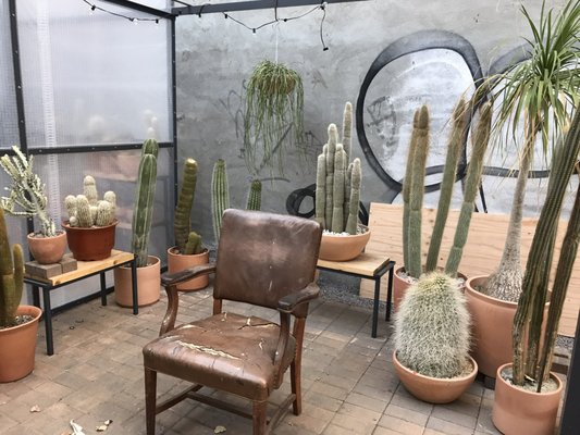 Cactus Store by null