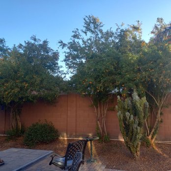 Gabriel Landscaping - Before orange jubilee and cactus trimmed - Landscaping Near Me