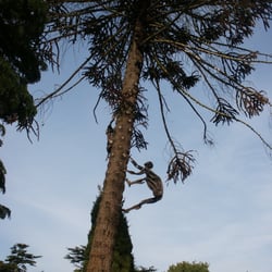 Woburn Abbey