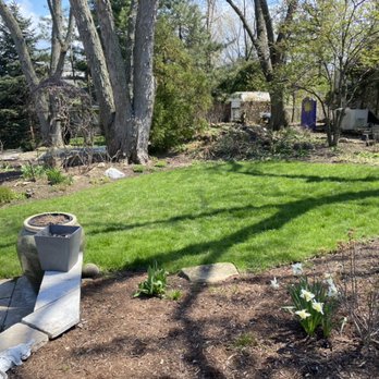 Luis M Tree Service and Landscaping - Landscaping Near Me Luis M Tree Service and Landscaping - Landscaping Near Me