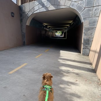 Stevens Creek Trail - Hiking Near Me