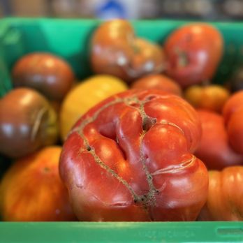 Pear Bloom Farm - tomatoes in a green container - Fruits & Veggies Near Me - Hood River, Oregon