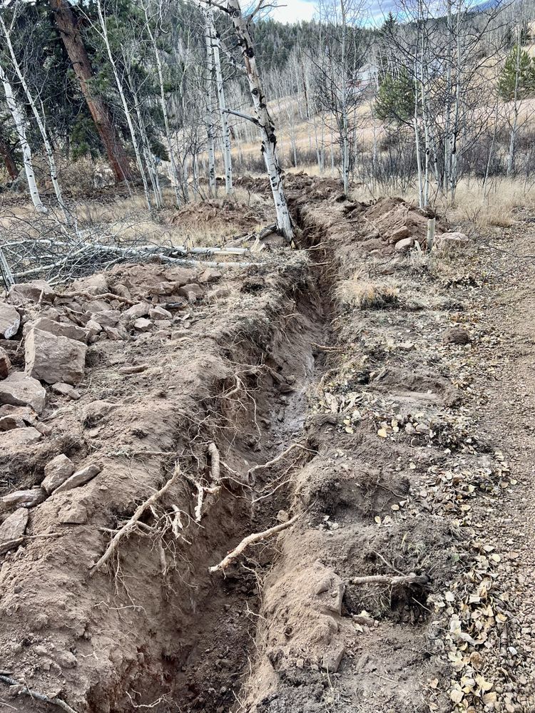 Slide of Wild Land Excavation