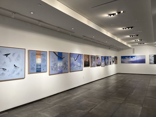 BORI - Spring Branch by null