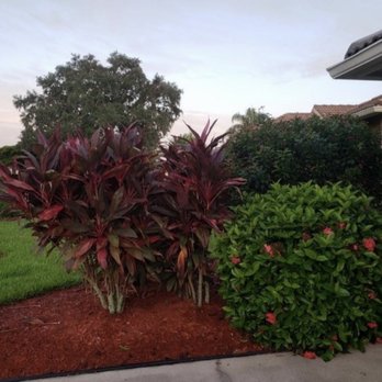 Anderson Snow Park - Parks Near Me - Spring Hill, Florida
