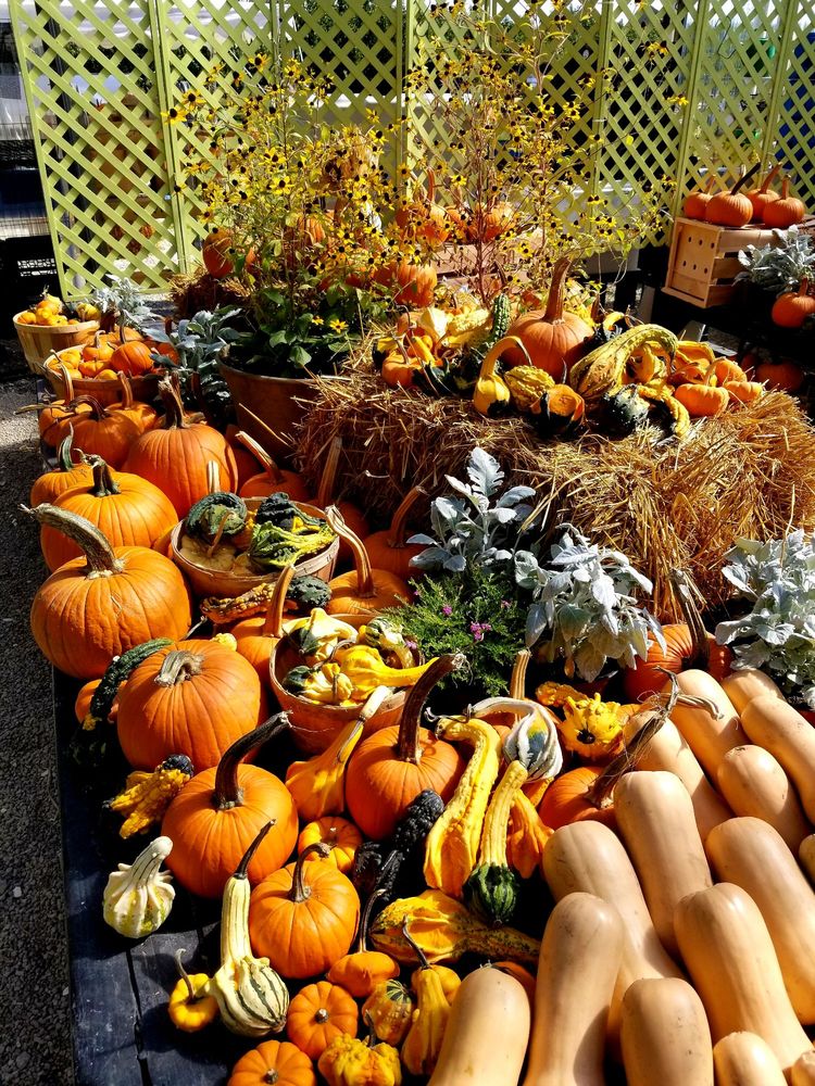 YOUNG FAMILY FARM Updated September 2024 13 Photos & 10 Reviews