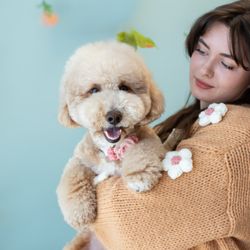 Peace Love Dogs