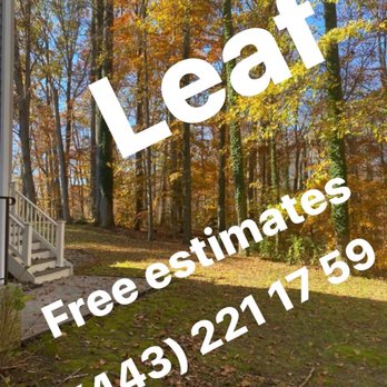 Chacon Hardscapes - a house in the woods - Landscaping Near Me - Annapolis, Maryland