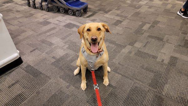 The Container Store by null