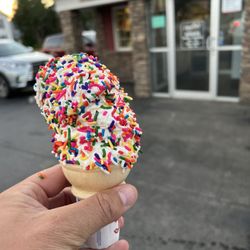 PapaRoni's - A "large" ice cream
