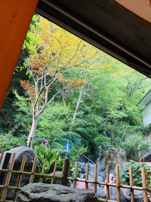 Tenzan Onsen by null