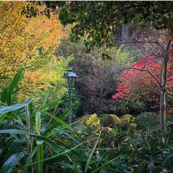 Parc Tenbosch
