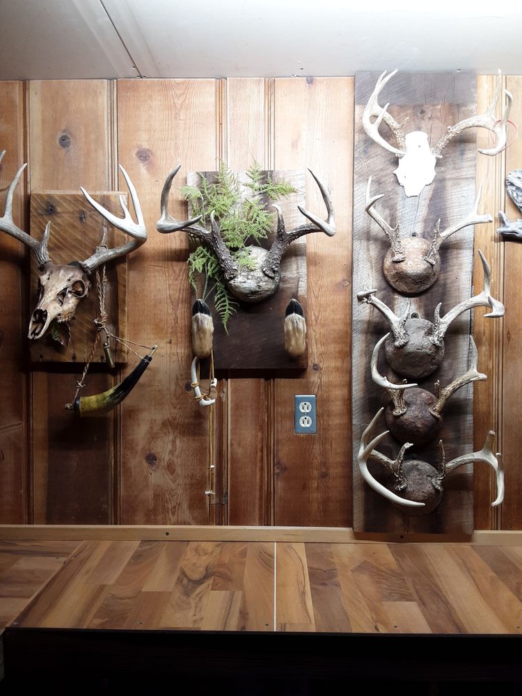 Dale's Taxidermy - taxidermy in East Palestine, OH