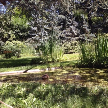 Musée Albert Kahn - Botanical Gardens Near Me - Boulogne-billancourt, 92 Musée Albert Kahn - Botanical Gardens Near Me - Boulogne-billancourt, 92