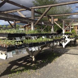 Intermountain Nursery - Pesticide Free Seasonal Vegetable Plants