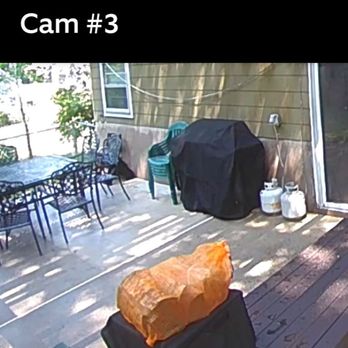 Window Genie of Northeast NJ - Photo of backyard patio from security camera - Window Washing Near Me - Ho Ho Kus, New Jersey