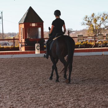 White Fences Equestrian Center - Exceptionally school horses to help you reach riding goals. - Horseback Riding Near Me - Manor, Texas White Fences Equestrian Center - Exceptionally school horses to help you reach riding goals. - Horseback Riding Near Me - Manor, Texas