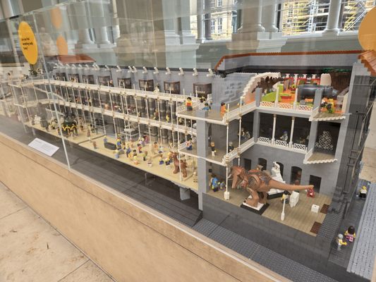 National Museum of Scotland by null