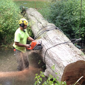 Bailey Tree Management - Tree Services Near Me Bailey Tree Management - Tree Services Near Me