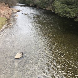 Antrim Streamside