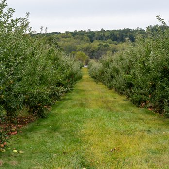 Melick Orchards - Farmers Market Near Me - Califon, New Jersey