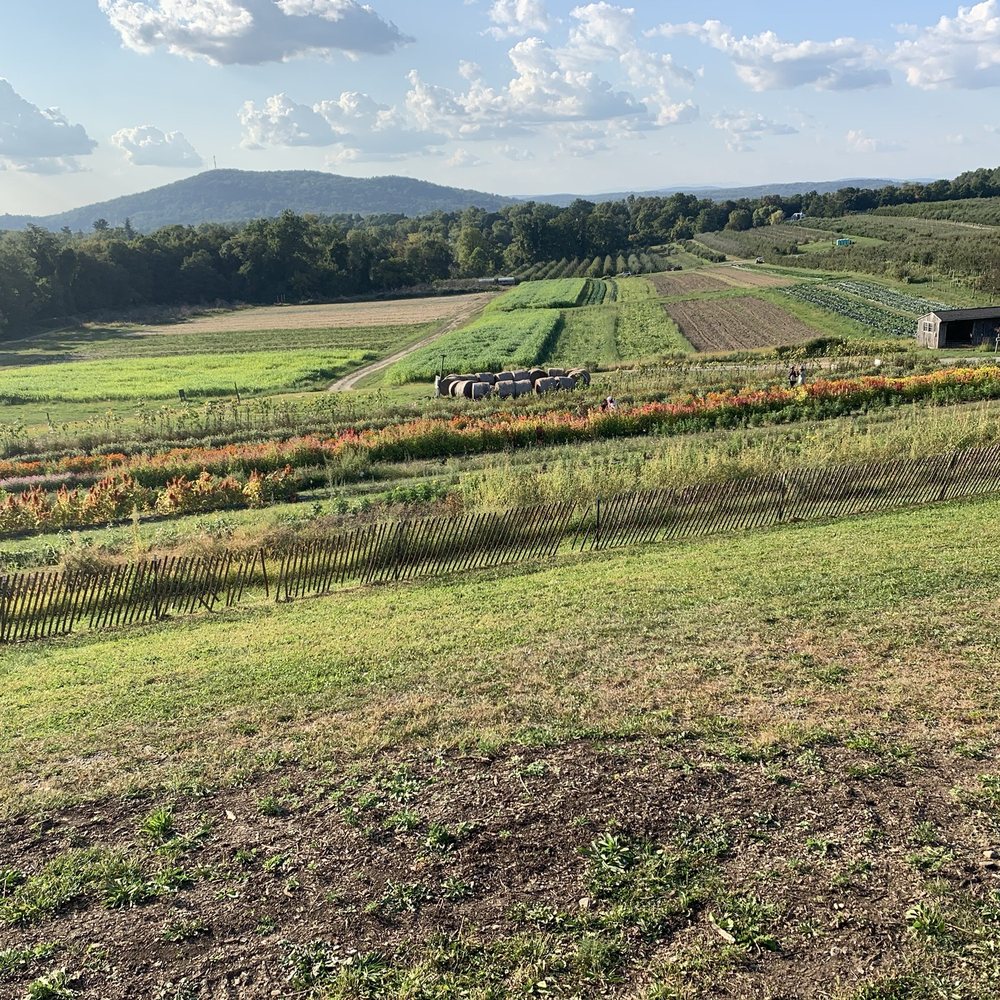 Fishkill Farms - The Farm! - Farmers Market Near Me - Hopewell Junction, New York