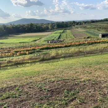 Fishkill Farms - The Farm! - Farmers Market Near Me - Hopewell Junction, New York Fishkill Farms - The Farm! - Farmers Market Near Me - Hopewell Junction, New York