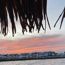 Tiki Taxi & Cruises - Heading back to downtown Stuart from Tidehouse Rest