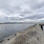 Photo of Seal Beach National Wildlife Refuge