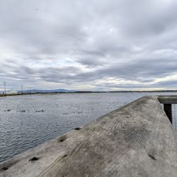 Seal Beach National Wildlife Refuge