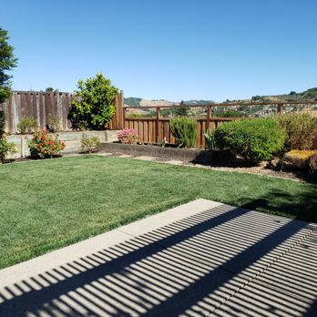 Xtreme Green Grass - After- looks fresh and perfect - Gutter Services Near Me Xtreme Green Grass - After- looks fresh and perfect - Gutter Services Near Me