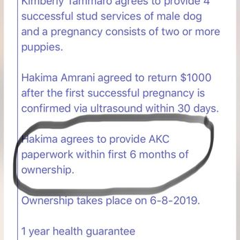North Shore Frenchies - Proof the breeder will provide AKC papers. Still haven't received. - Pet Breeders Near Me North Shore Frenchies - Proof the breeder will provide AKC papers. Still haven't received. - Pet Breeders Near Me