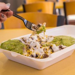 TJ Tacos - Asada fries