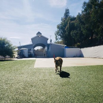 Performance K9 Training - Training area - Pet Training Near Me - Bonsall, California Performance K9 Training - Training area - Pet Training Near Me - Bonsall, California