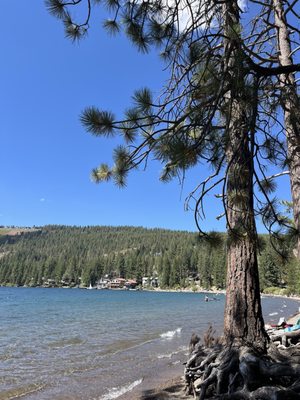 Donner Memorial State Park by null