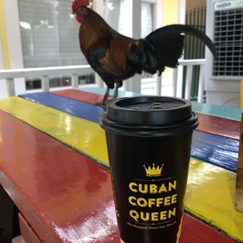 Cuban Coffee Queen - Cafe con Leche (Cuban Coffee with Steamed Milk) and a Rooster - Coffee & Tea Near Me - Key West, Florida