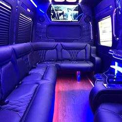 Elegant Image Limousine - Mercedes Sprinter 12 to 14 passengers